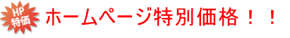 ホームページの特別価格！！